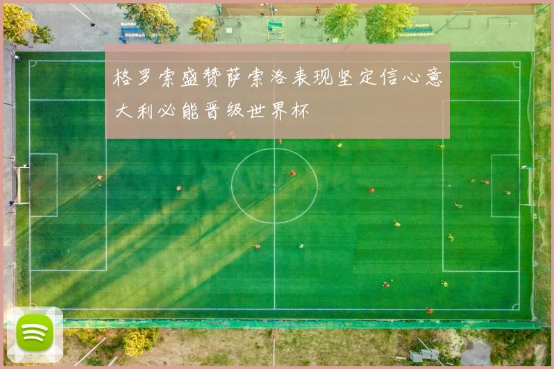 格罗索盛赞萨索洛表现坚定信心意大利必能晋级世界杯