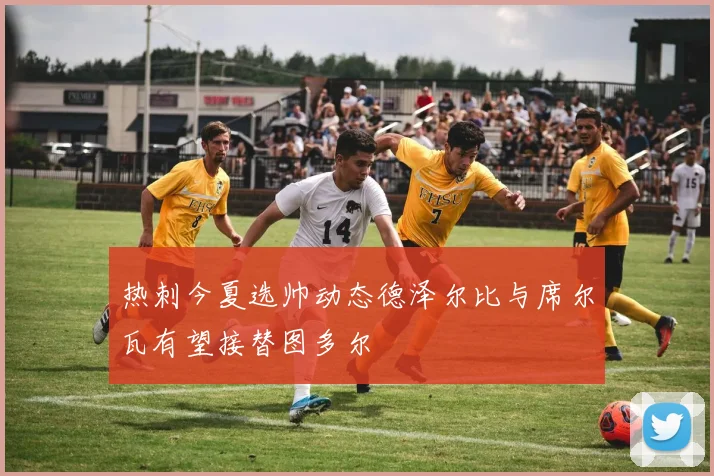 热刺今夏选帅动态德泽尔比与席尔瓦有望接替图多尔