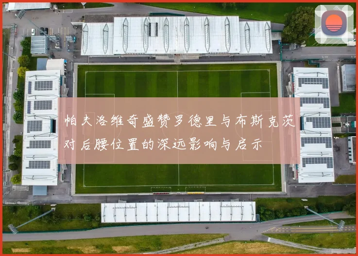 帕夫洛维奇盛赞罗德里与布斯克茨对后腰位置的深远影响与启示